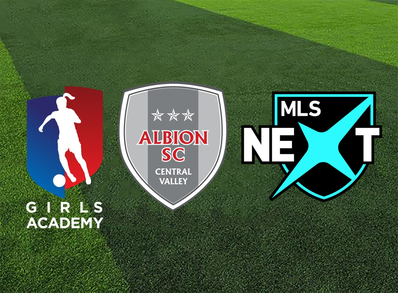 ALBION GA & MLS